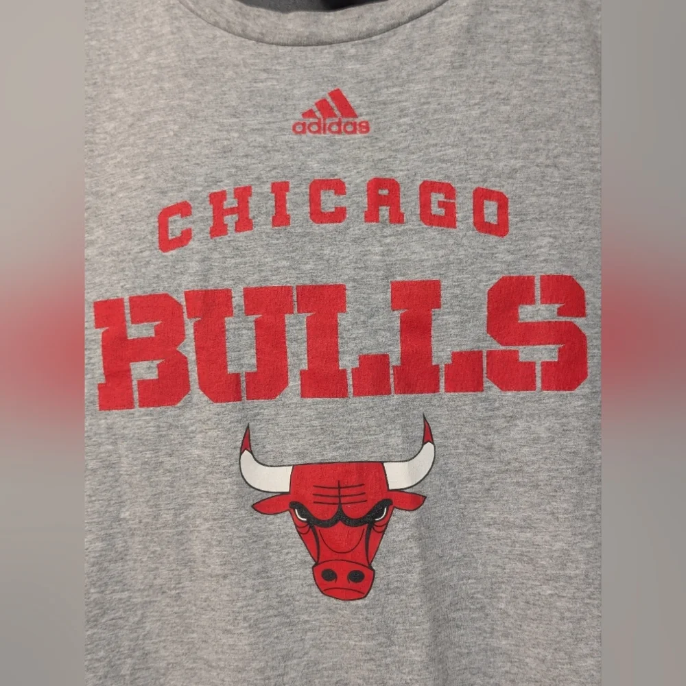 Men's Adidas Chicago Bulls Graphic Gray T-Shirt Size 2X
